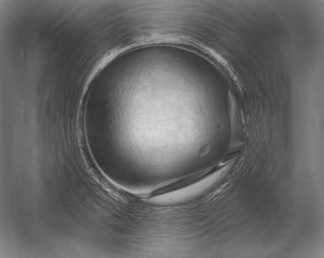 X0000053021373200507221328