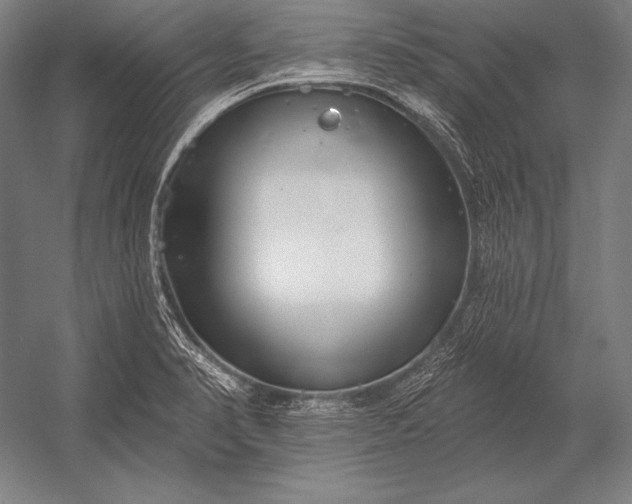 X0000053021374200507221328