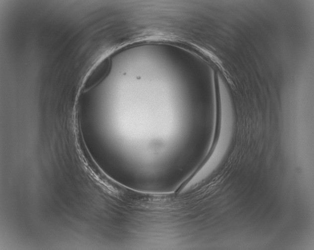 X0000053021375200507221328