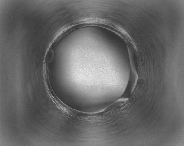 X0000053021376200507221328
