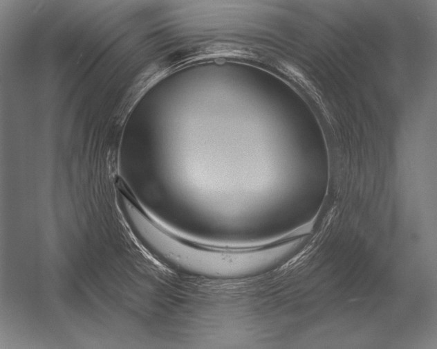 X0000053021377200507221328