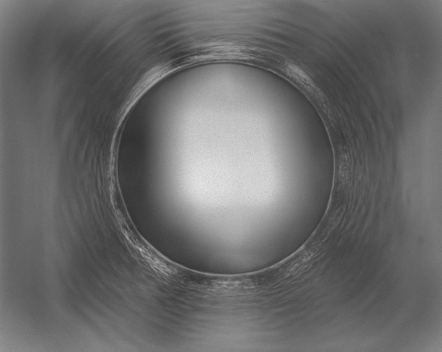 X0000053021378200507221328