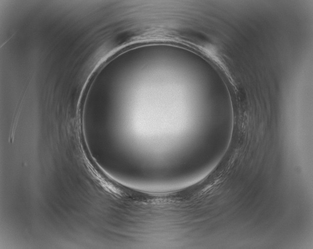 X0000053021380200507221328