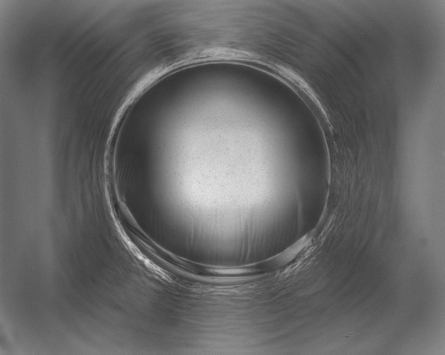 X0000053021381200507221328