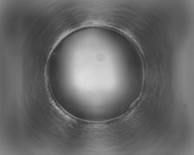 X0000053021382200507221328