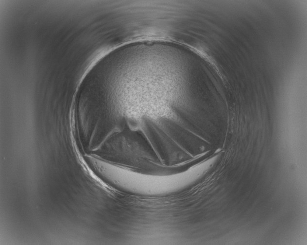 X0000053021383200507221328