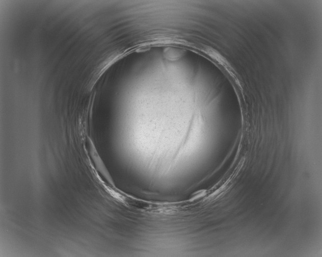 X0000053021385200507221328