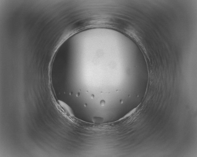 X0000053021386200507221328