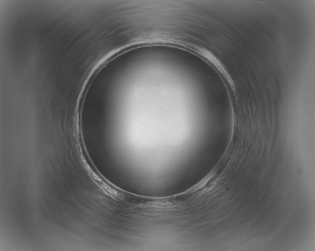 X0000053021388200507221328