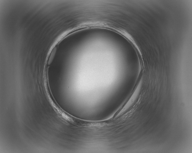 X0000053021389200507221328
