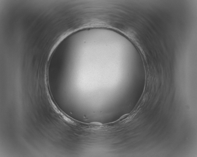 X0000053021390200507221328