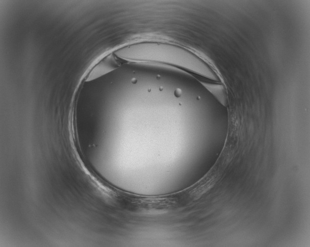 X0000053021391200507221328