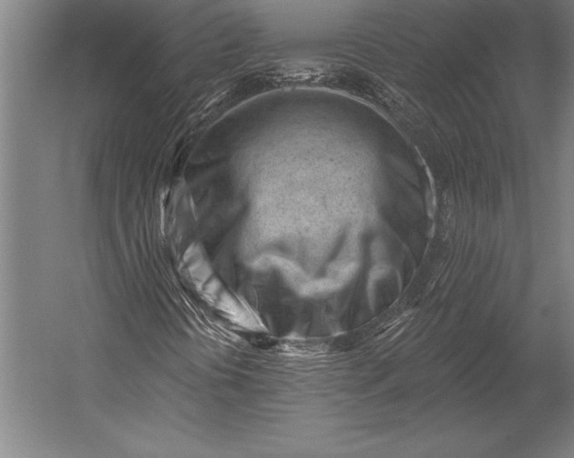 X0000053021394200507221327
