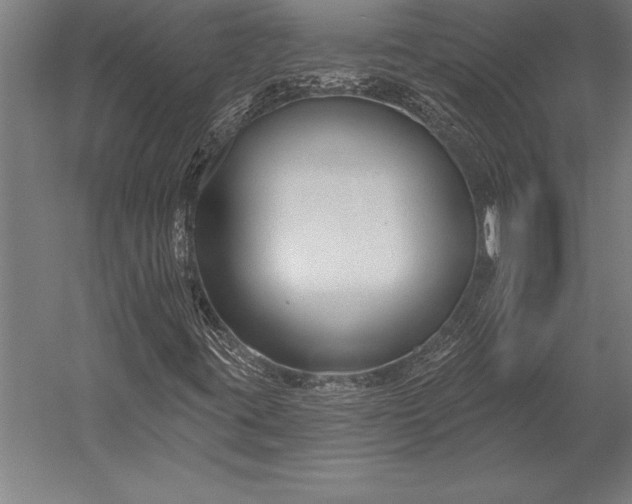 X0000053021395200507221327