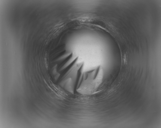 X0000053021396200507221327