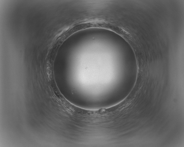 X0000053021398200507221327