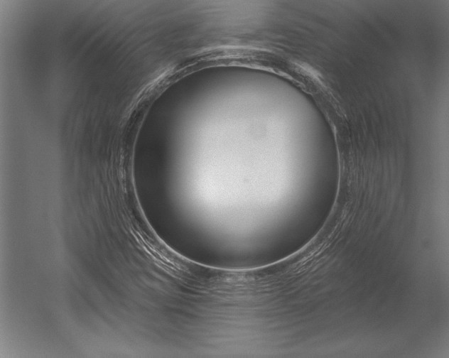 X0000053021403200507221327