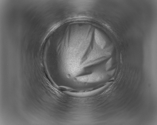 X0000053021405200507221327