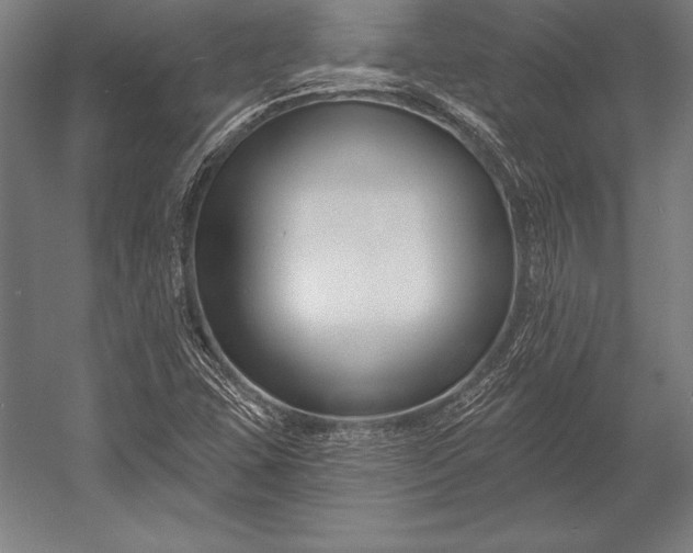 X0000053021407200507221327