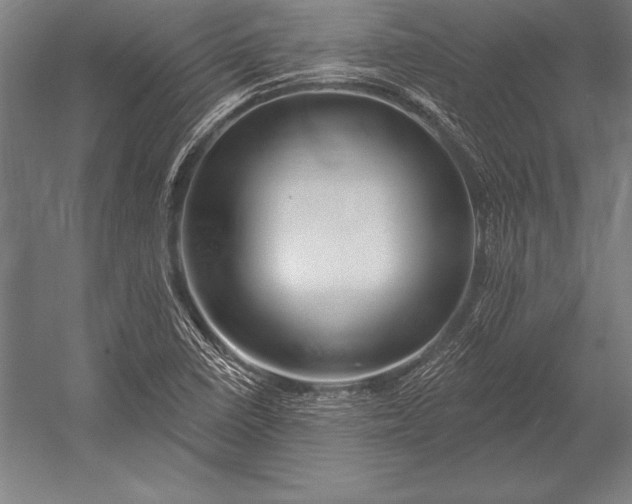 X0000053021410200507221327
