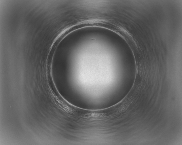 X0000053021412200507221327