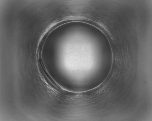 X0000053021414200507221327