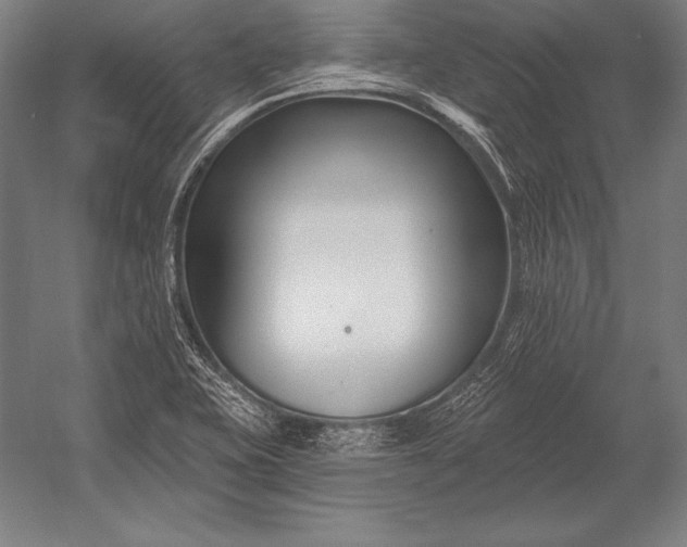 X0000053021415200507221327