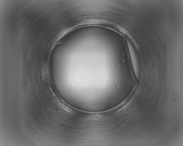X0000053021417200507221327
