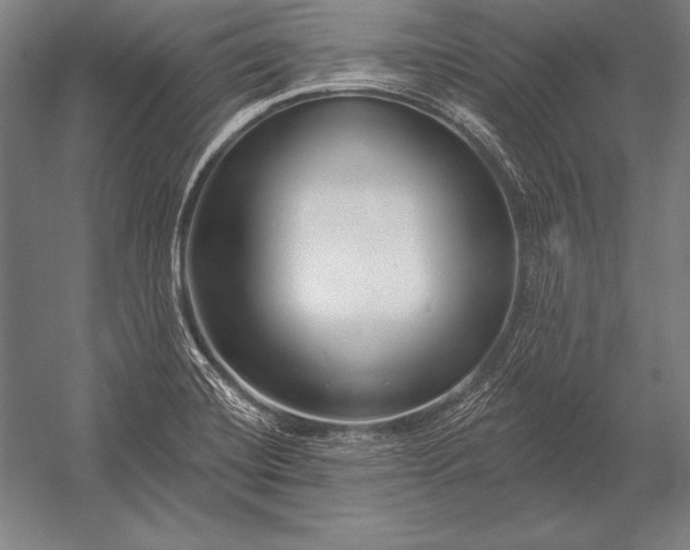 X0000053021420200507221328