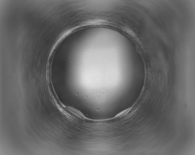 X0000053021421200507221328