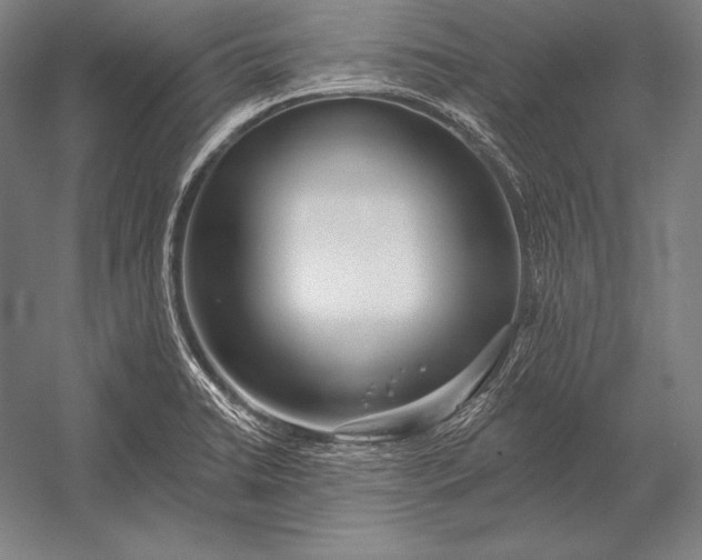 X0000053021422200507221328