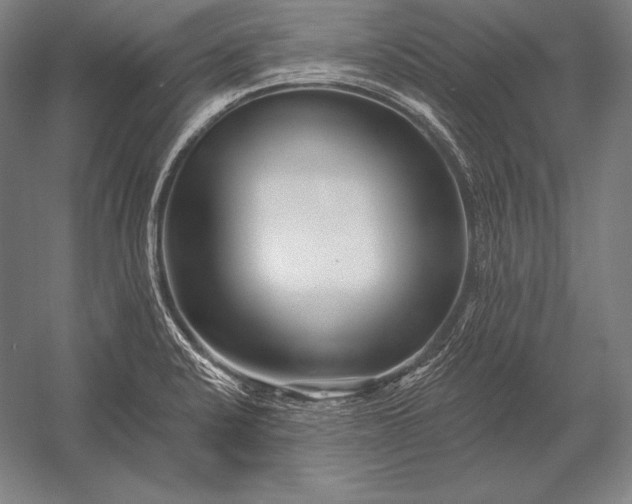 X0000053021424200507221328