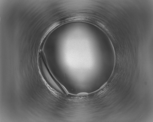 X0000053021426200507221328