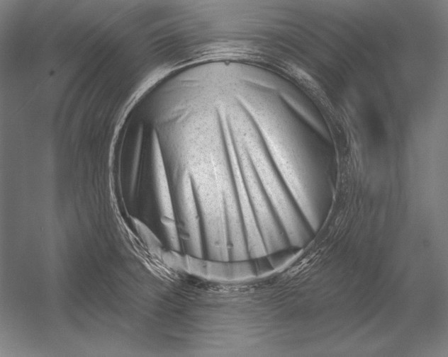 X0000053021427200507221328