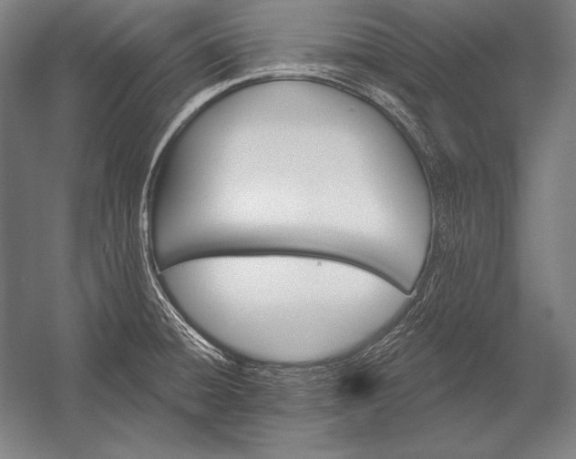 X0000053021428200507221328