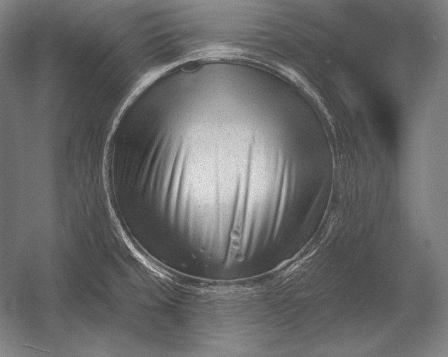 X0000053021429200507221328