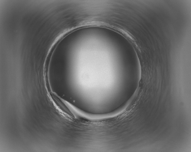 X0000053021430200507221328
