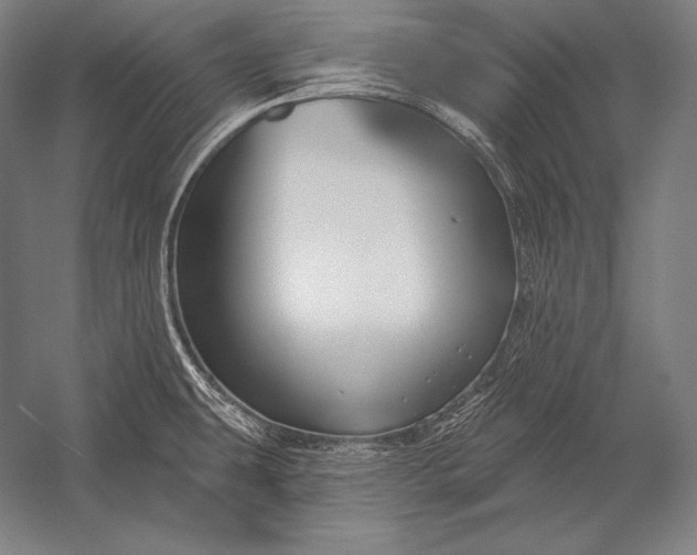X0000053021431200507221328