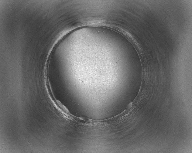 X0000053021432200507221328
