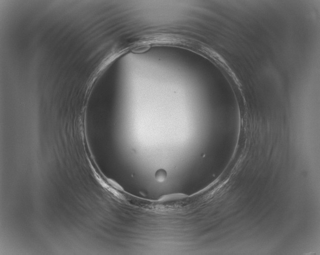 X0000053021433200507221328