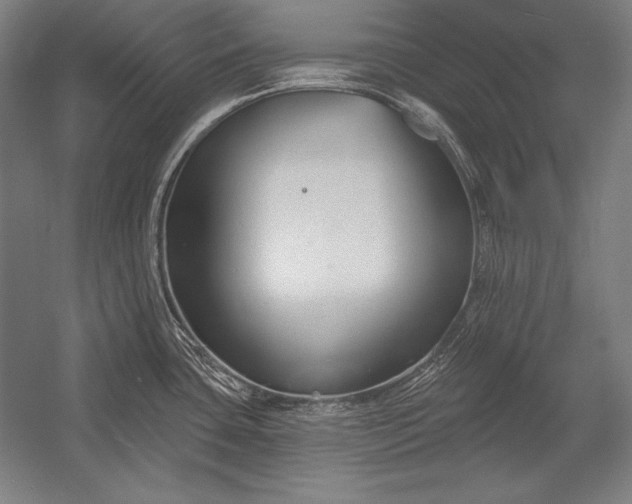 X0000053021435200507221328
