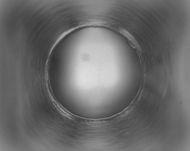 X0000053021436200507221328