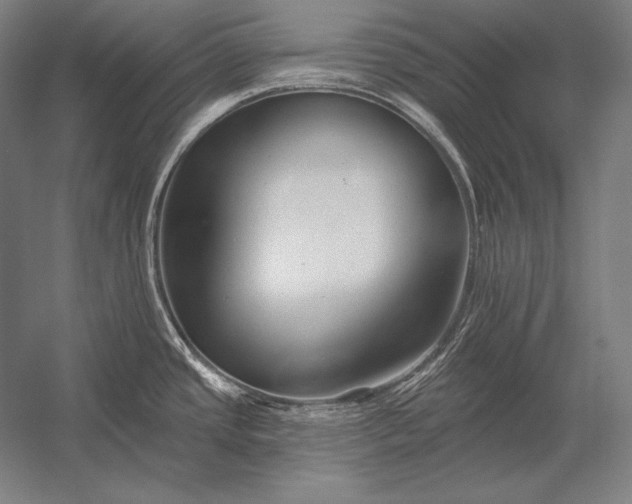 X0000053021437200507221328