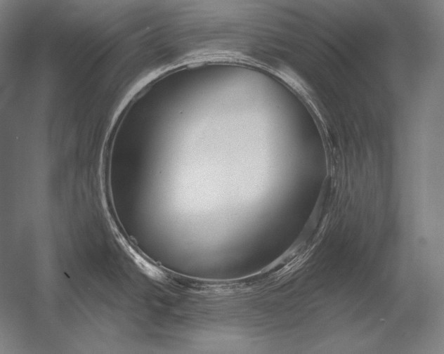 X0000053021438200507221328