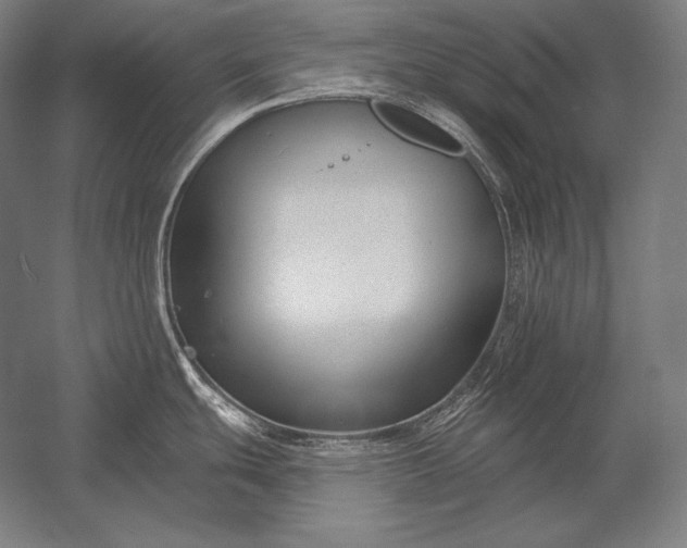 X0000053021439200507221328