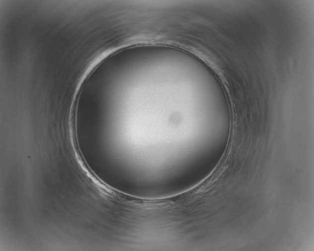X0000053021440200507221328