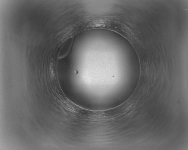 X0000053021442200507221327