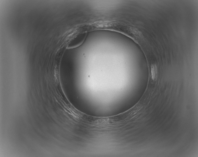 X0000053021444200507221327