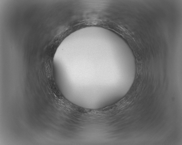 X0000053021446200507221327