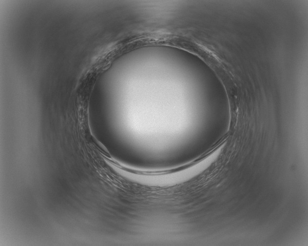 X0000053021447200507221327